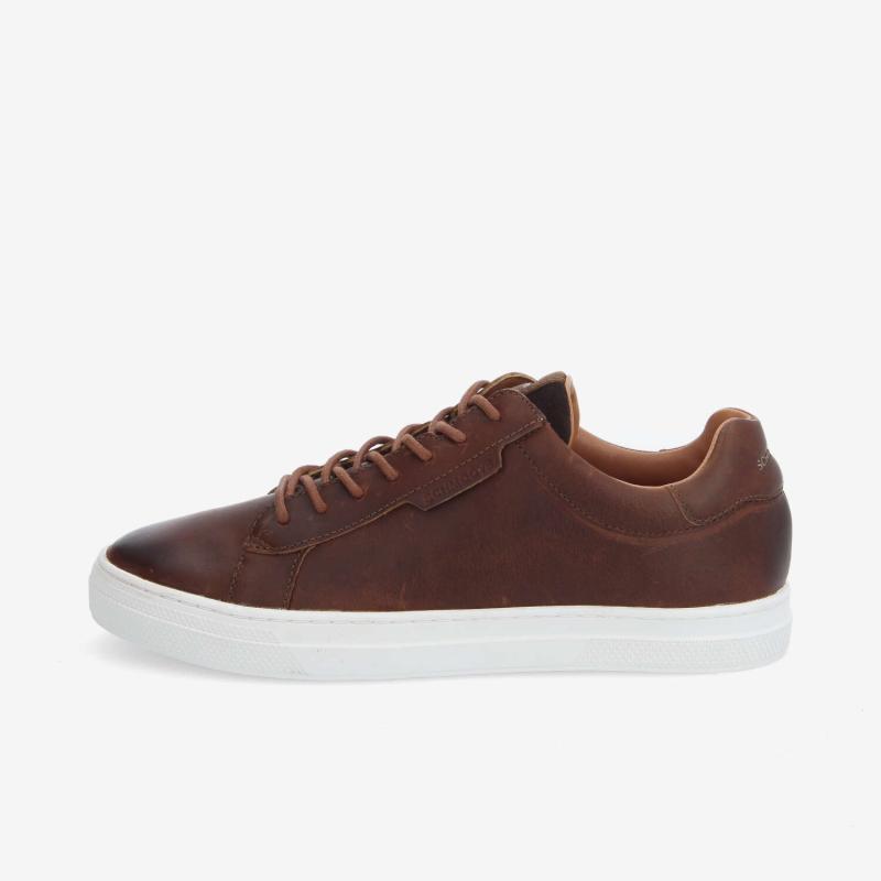 SPARKLE SNEAKER M - CICLON - MARRON